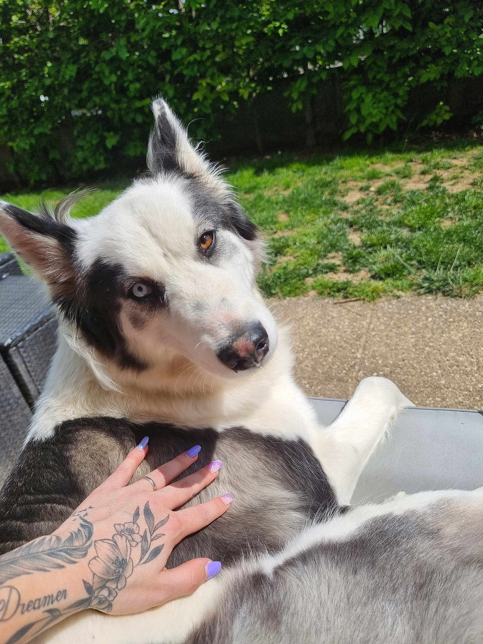 Roxy