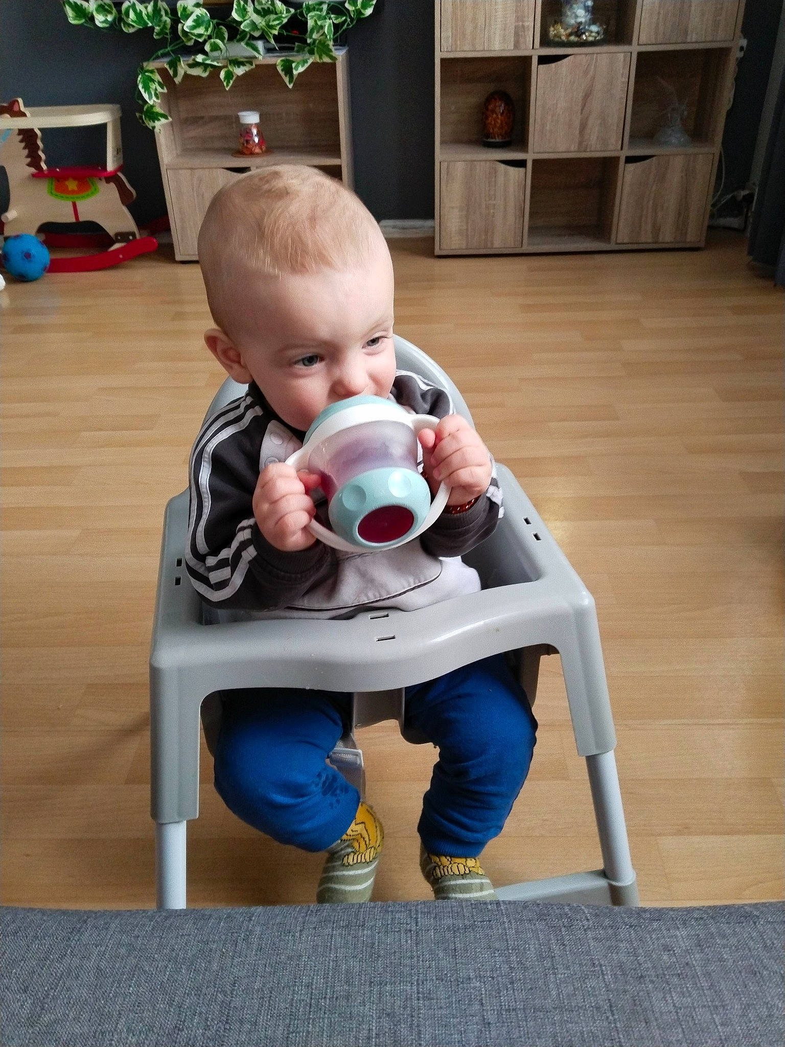 Donovan a rejoint le concours — aidez-le/la à gagner de superbes lots ! baby, baby_products, baby_safety, baby_toddler_clothing, baby_toys, cheek, child, comfort, floor, flooring, fun, hardwood, houseplant, knee, person, play, room, sitting, toddler, toy