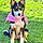 Louna