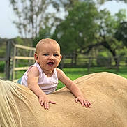 Avery is registered to the contest to win money with this photo: baby, child, horse, animal, outdoor, farm, greenery, fence, grass, sunlight, portrait, smiling, happy, nature, person, mammal, young, riding, summer, daytime