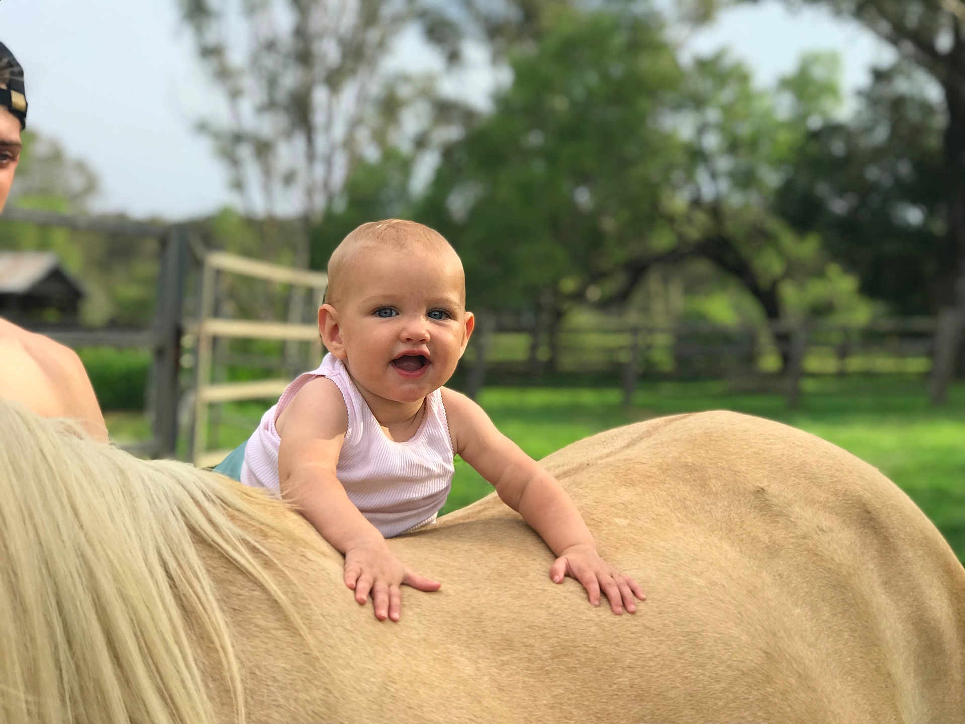 Avery is registered to the contest to win money with this photo: baby, child, horse, animal, outdoor, farm, greenery, fence, grass, sunlight, portrait, smiling, happy, nature, person, mammal, young, riding, summer, daytime