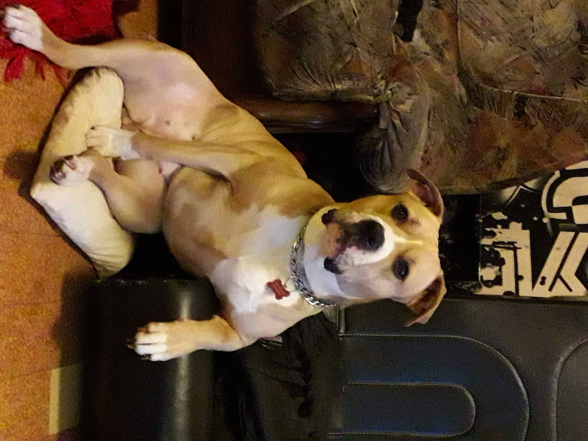 Izzy