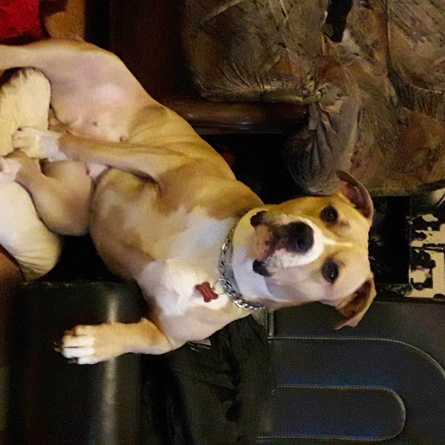 Izzy