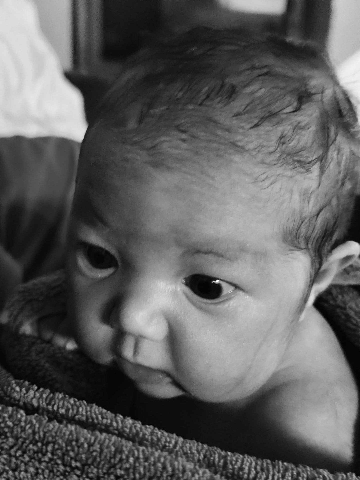 Abelle participe au concours pour gagner de l'argent avec cette photo : baby, close_up, black_and_white, newborn, face, eyes, skin, hair, towel, portrait, infant, cute, expression, child, soft, young, curious, wrapped, head, indoors