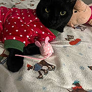 Lucy joined the competition — help win amazing prizes! black_cat, cat, pet, toy_mouse, plush_toy, bed, blanket, red_sweater, polka_dot, indoor, animal, cozy, sleepwear, curious, close_up, feline, winter_theme, dog_illustrations, soft_toy, resting