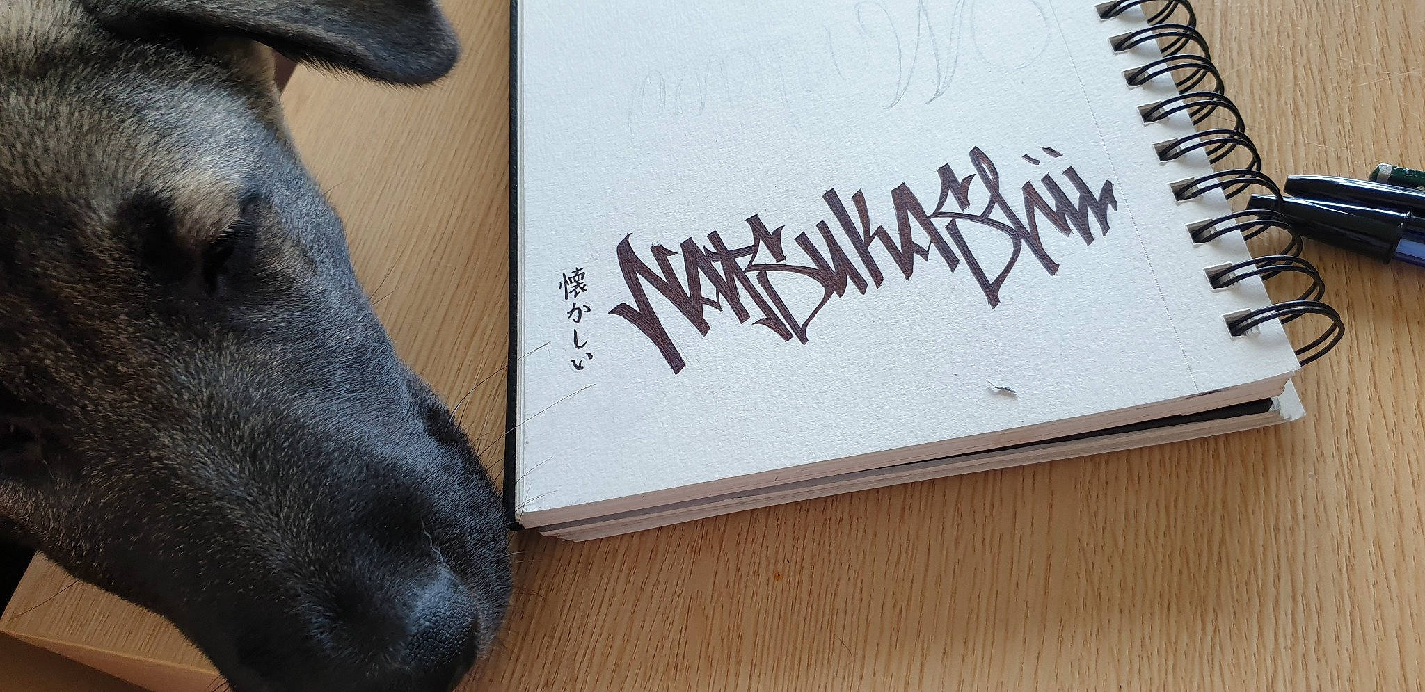 Phoïbe participe au concours pour gagner de l'argent avec cette photo : art, calligraphy, drawing, font, illustration, notebook, sketch