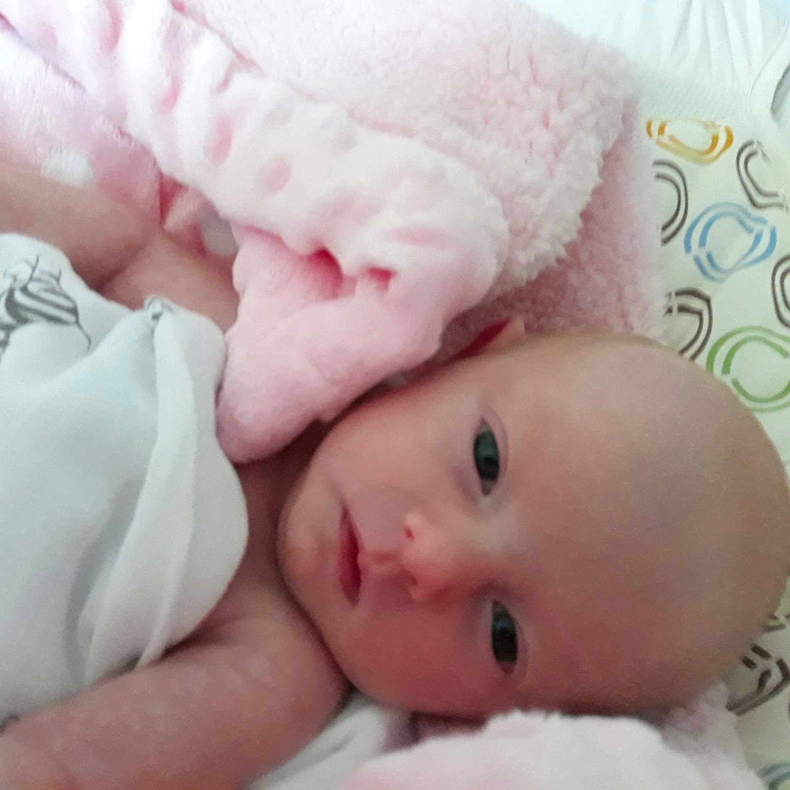 Freyja joined the competition — help win amazing prizes! baby, baby_sleeping, bedtime, blanket, cheek, child, eye, face, furniture, head, linens, lip, mouth, nap, nose, pink, room, skin, sleep, toddler