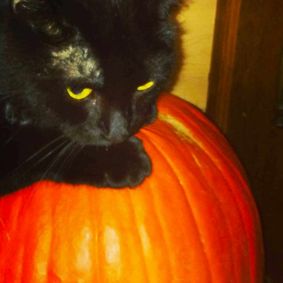 Bella