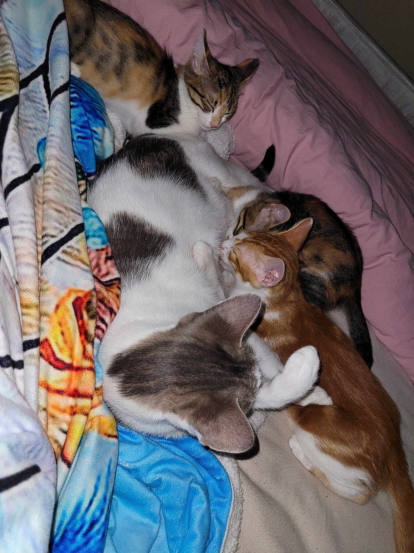 Famille