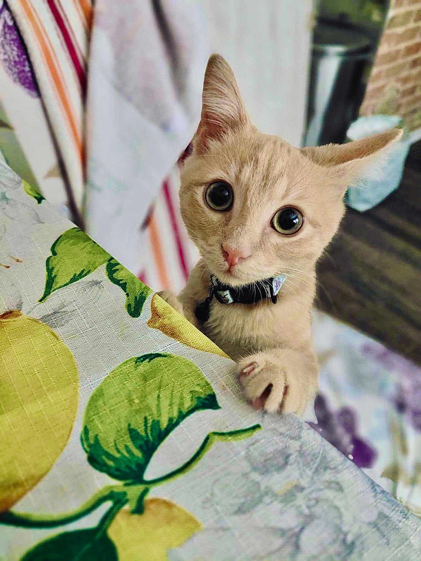 Max