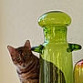 cat, tabby, glass_vase, green, curious, wooden_shelf, indoor, pet, animal, feline, decor, still_life, reflection, alert, ears, striped, brown, eyes, quiet, home