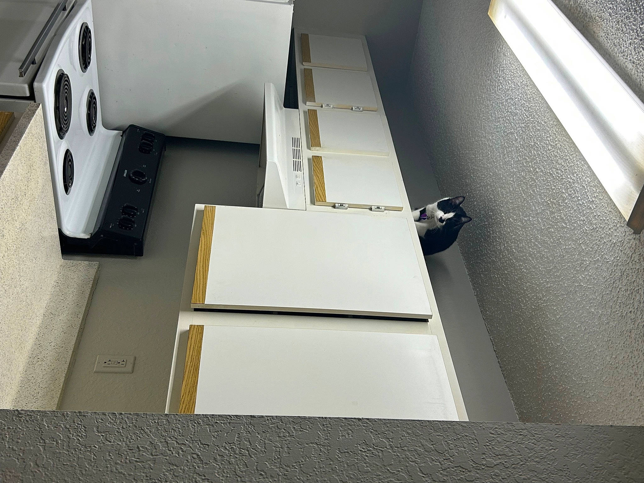 Oreo joined the competition — help win amazing prizes! aluminium, automotive_design, cardboard, carton, composite_material, flooring, machine, metal, office_equipment, office_supplies, paper, paper_product, rectangle, room, space, stairs, wood