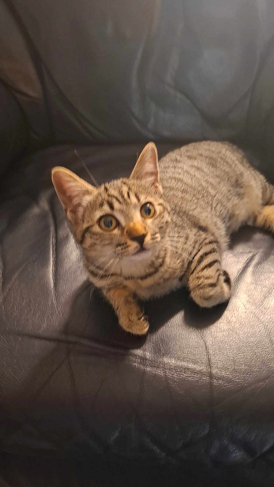 Yuki