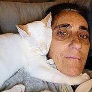 Hades a rejoint le concours — aidez-le/la à gagner de superbes lots ! cat, person, face, sleeping, snuggling, closeup, indoor, cuddle, pet, white_cat, cozy, relaxed, companion, friendship, comfort, portrait, animal, human, love, affection