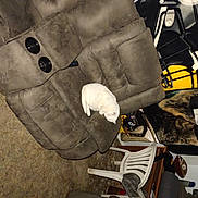 Mommas joined the competition — help win amazing prizes! auto_part, automotive_design, automotive_exterior, automotive_tire, car_seat_cover, gesture, glove, helmet, hood, luxury_vehicle, motor_vehicle, personal_luxury_car, personal_protective_equipment, safety_glove, shoe, sports_gear, steering_wheel, trunk, vehicle, vehicle_door