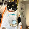 Felix participe au concours pour gagner de l'argent avec cette photo : cat, tuxedo_cat, black_and_white, pet, animal, portrait, close_up, whiskers, green_eyes, pointed_ears, paw, raised_paw, bib, towel, orange, indoor, home, sitting, funny, photography
