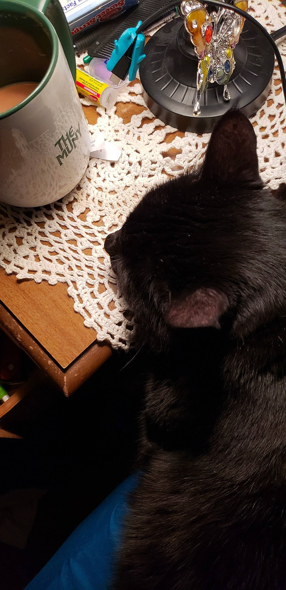 Boo joined the competition — help win amazing prizes! black_cat, carnivore, cat, ear, felidae, fur, kitten, small_to_medium_sized_cats, table, whiskers