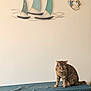 Nicky participe au concours pour gagner de l'argent avec cette photo : cat, tabby_cat, animal, pet, feline, indoor, table, blue_cloth, wall_art, sailboats, decor, neutral_wall, furniture, serious_expression, domestic, fur, whiskers, tail, sitting, calm