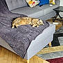 cat, sofa, blanket, cushion, indoor, living_room, parquet_floor, wooden_floor, tabby_cat, relaxed_cat, colorful_cushions, geometric_pattern, rug, modern_furniture, pet, cozy, domestic, furniture, resting, home