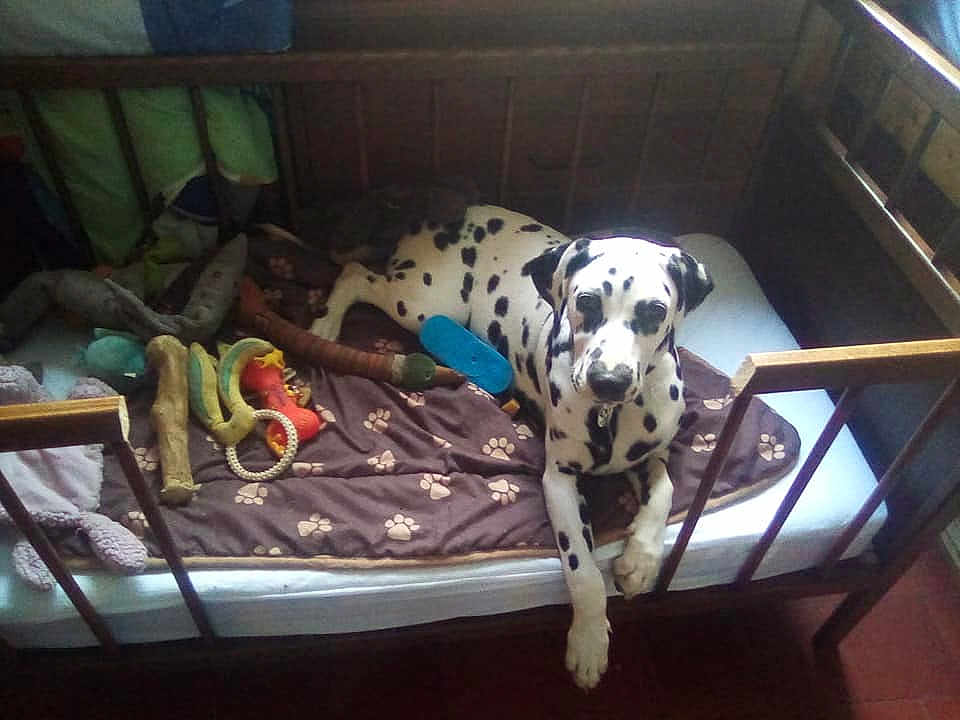 Heidi