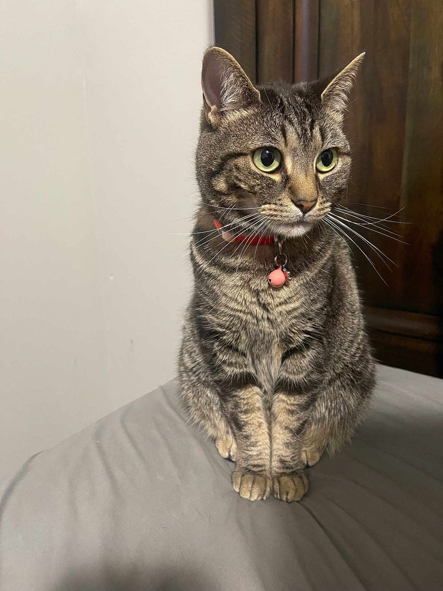 Nyla