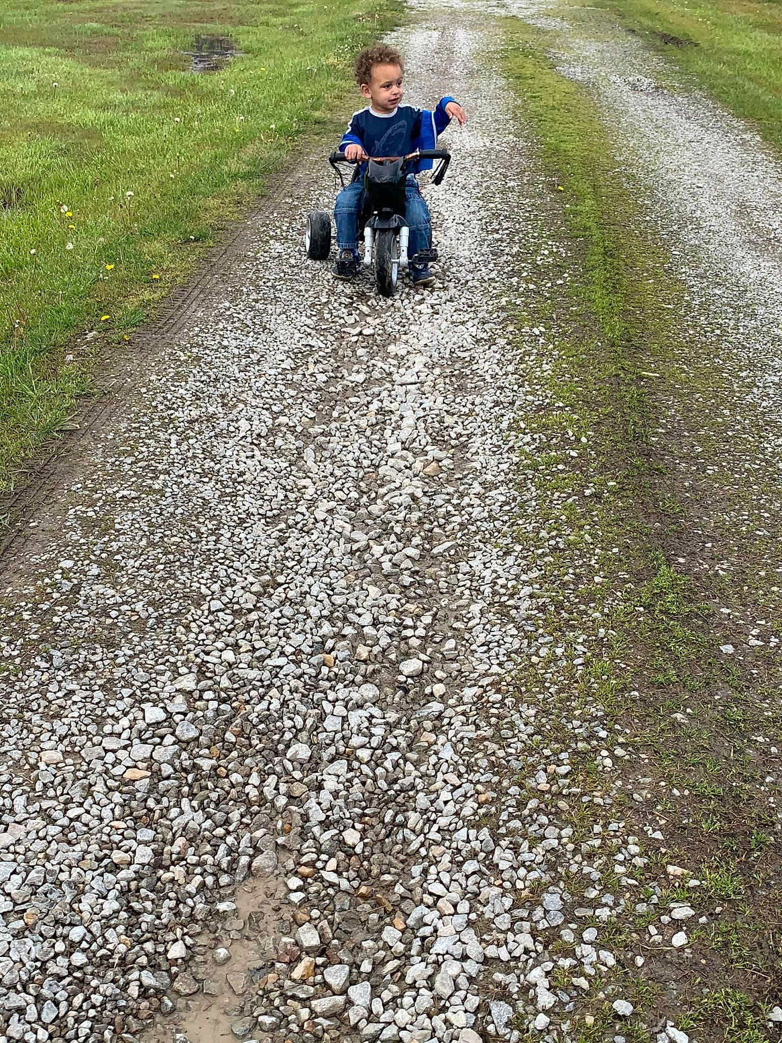 Will is registered to the contest to win money with this photo: asphalt, child, grass, gravel, groundcover, lawn, leaf, person, plant, play, road, soil, spring, toddler, vehicle
