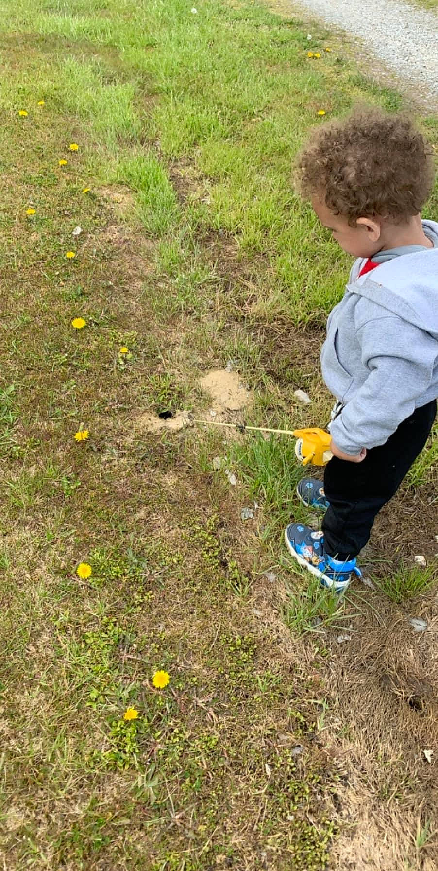 Will is registered to the contest to win money with this photo: child, grass, person, plant, play, soil, toddler