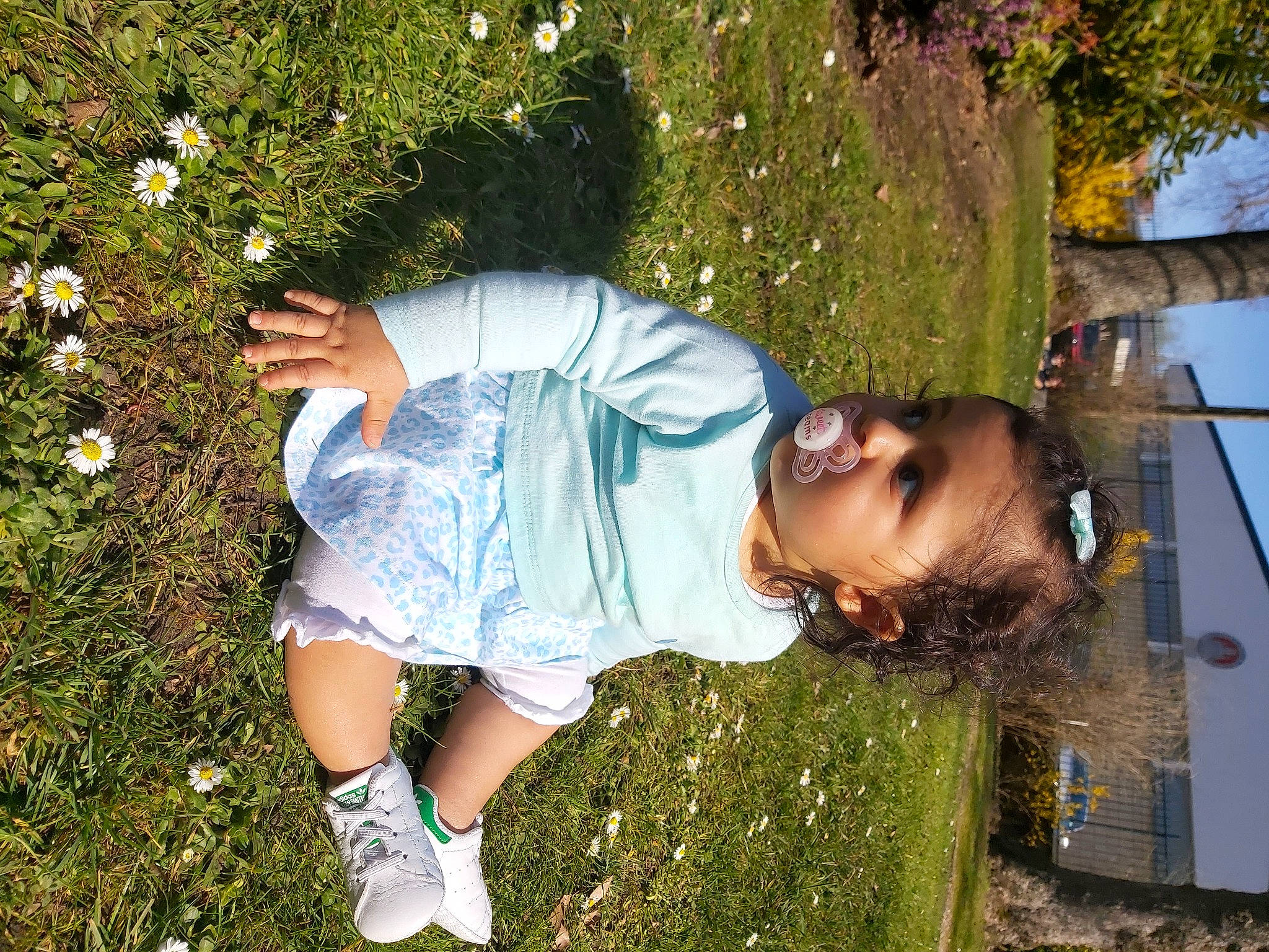 Shérine participe au concours pour gagner de l'argent avec cette photo : eyewear, facial_expression, flower, fun, grass, grass_family, happy, human_body, human_leg, lawn, leaf, leisure, people_in_nature, person, petal, plant, shrub, summer, sunlight, thigh