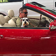 Brutus joined the competition — help win amazing prizes! man, dog, car, convertible, red_car, sunglasses, vehicle, window, seat, interior, greenery, white_vehicle, pet, driving, portrait, outdoor, side_view, animal, person, leisure
