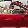 man, dog, car, convertible, red_car, sunglasses, vehicle, window, seat, interior, greenery, white_vehicle, pet, driving, portrait, outdoor, side_view, animal, person, leisure