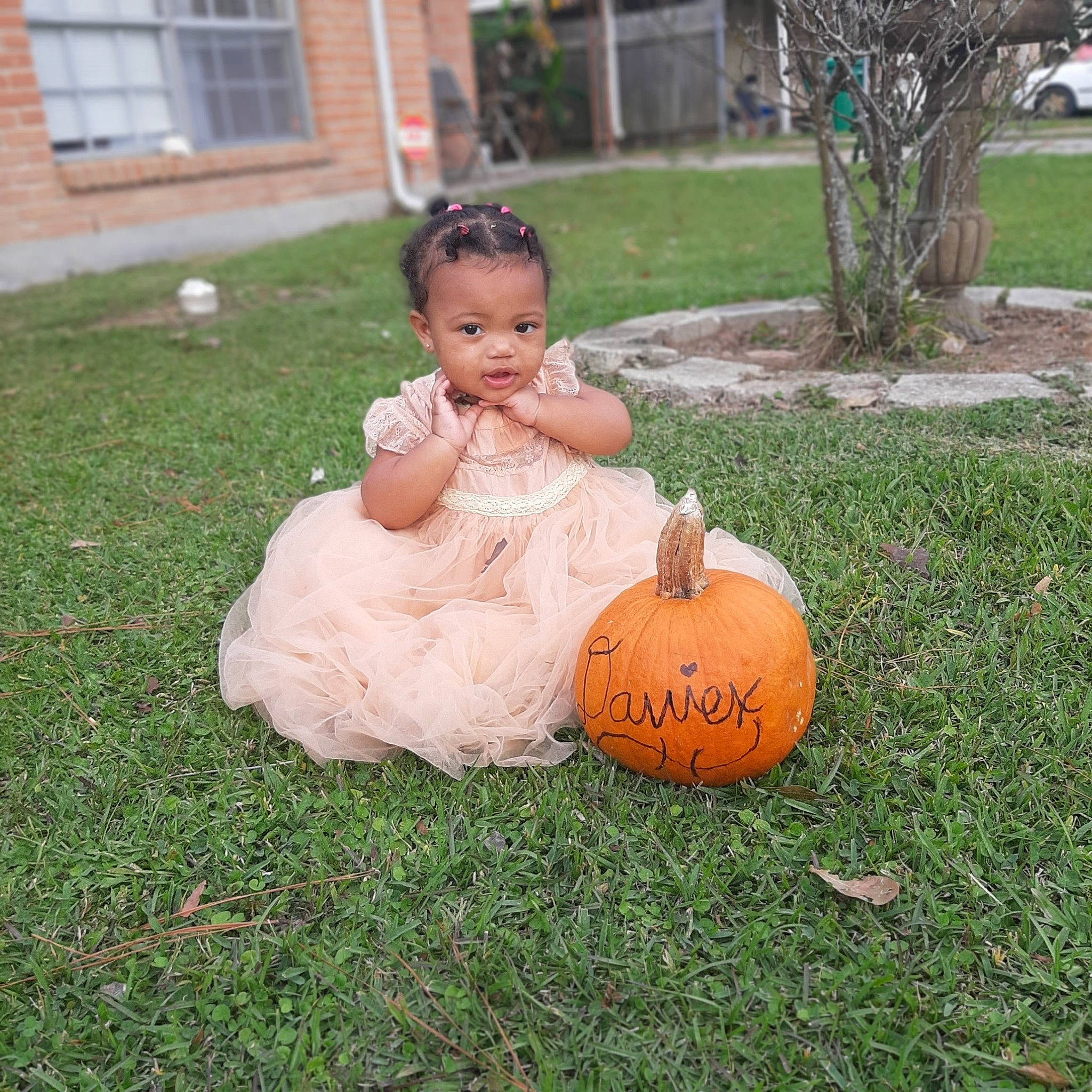 Daviex is registered to the contest to win money with this photo: _and_melon_family, _gourd, baby, baby_toddler_clothing, backyard, calabaza, child, cucumber, dress, garden, gourd, grass, lawn, peach, person, produce, pumpkin, squash, toddler, toy