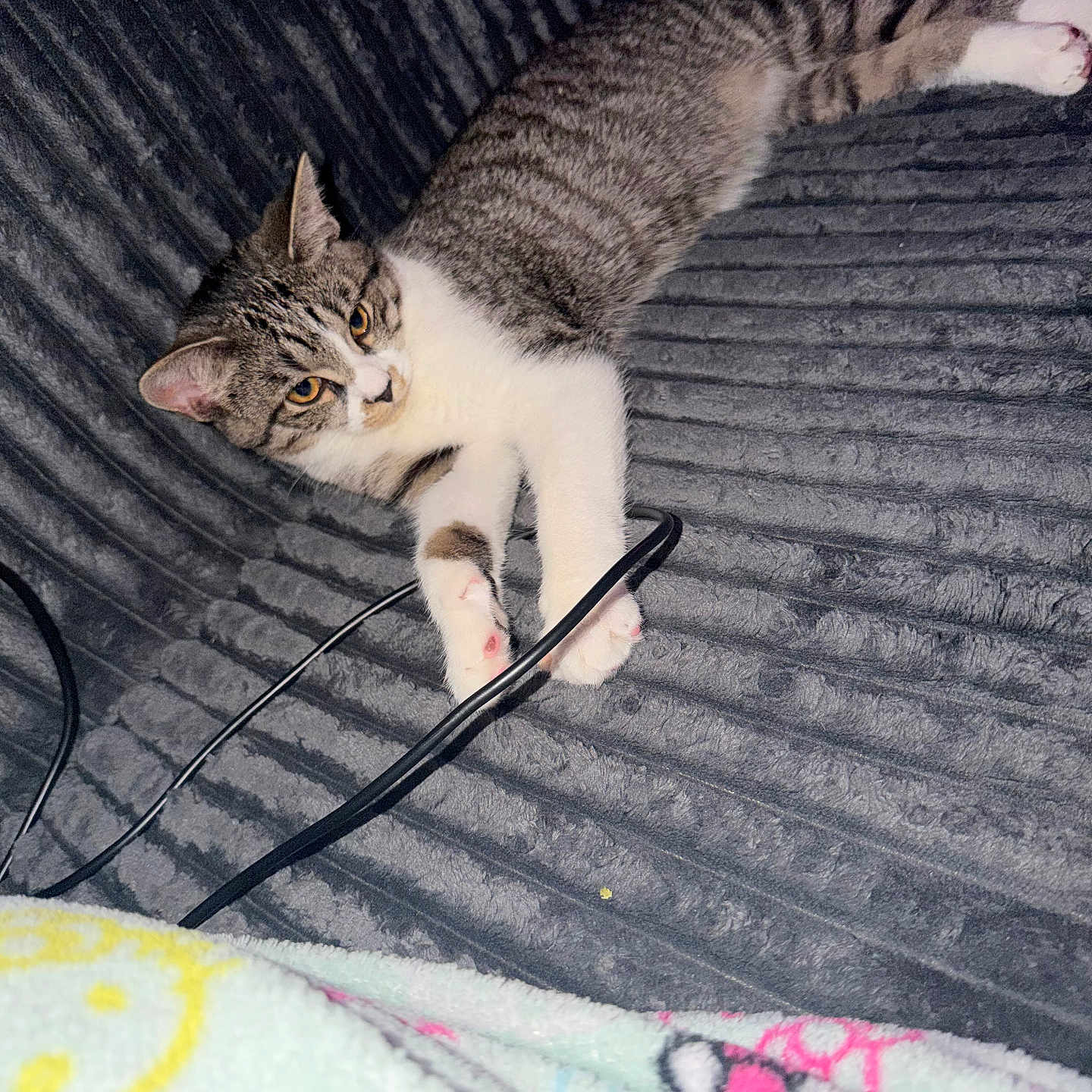 Hermonie