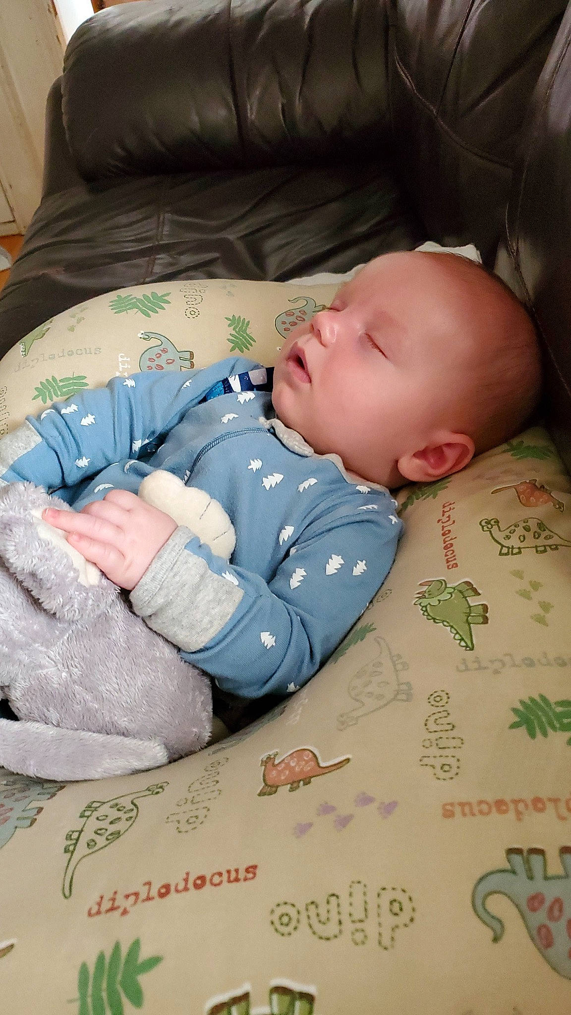 Klaus is registered to the contest to win money with this photo: baby, baby_sleeping, bedtime, cheek, child, comfort, nap, person, skin, sleep, toddler