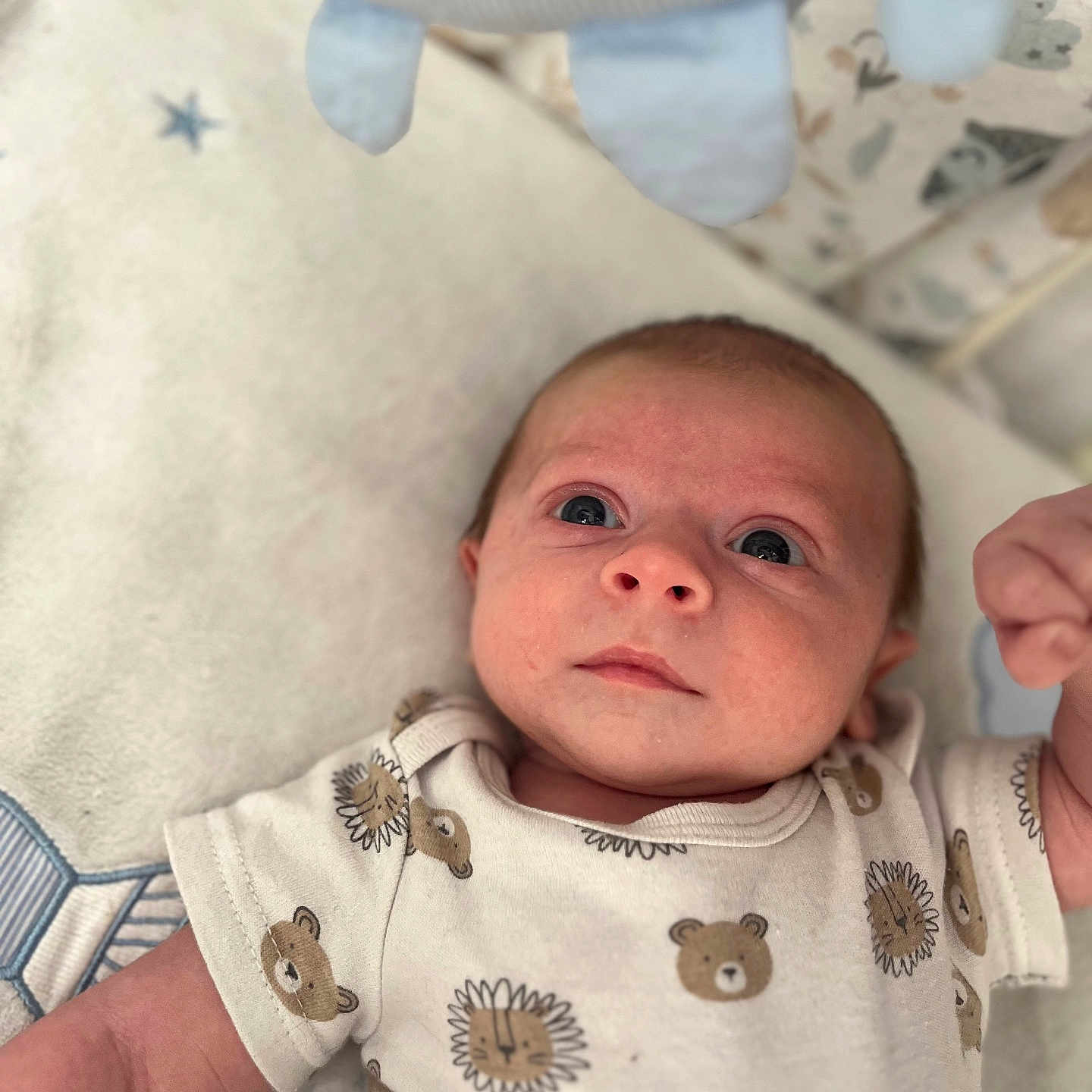 Eden participe au concours pour gagner de l'argent avec cette photo : animal_print, arm, baby, blanket, child, comfort, cute, expression, face, head, indoors, infant, looking_up, lying_down, newborn, onesie, peaceful, plush_toy, skin, soft_texture
