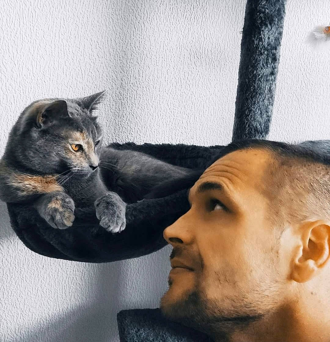 Pepita a rejoint le concours — aidez-le/la à gagner de superbes lots ! beard, carnivore, cat, comfort, ear, electronic_device, eye, eyelash, facial_expression, facial_hair, felidae, gesture, happy, jaw, lap, moustache, mouth, nose, small_to_medium_sized_cats, whiskers