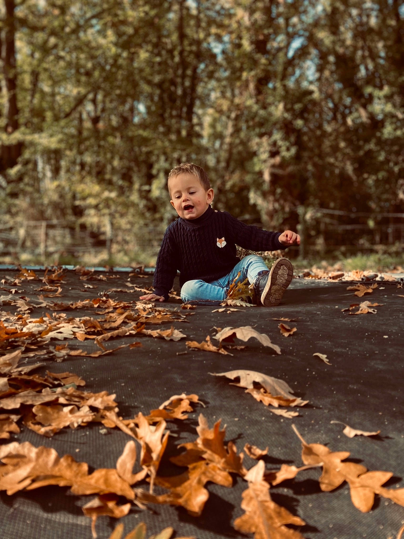 Nyno a rejoint le concours — aidez-le/la à gagner de superbes lots ! adaptation, botany, branch, deciduous, forest, grass, human, landscape, leisure, mammal, natural_environment, people_in_nature, person, plant, sneakers, sunlight, tints_and_shades, tree, trunk, vertebrate