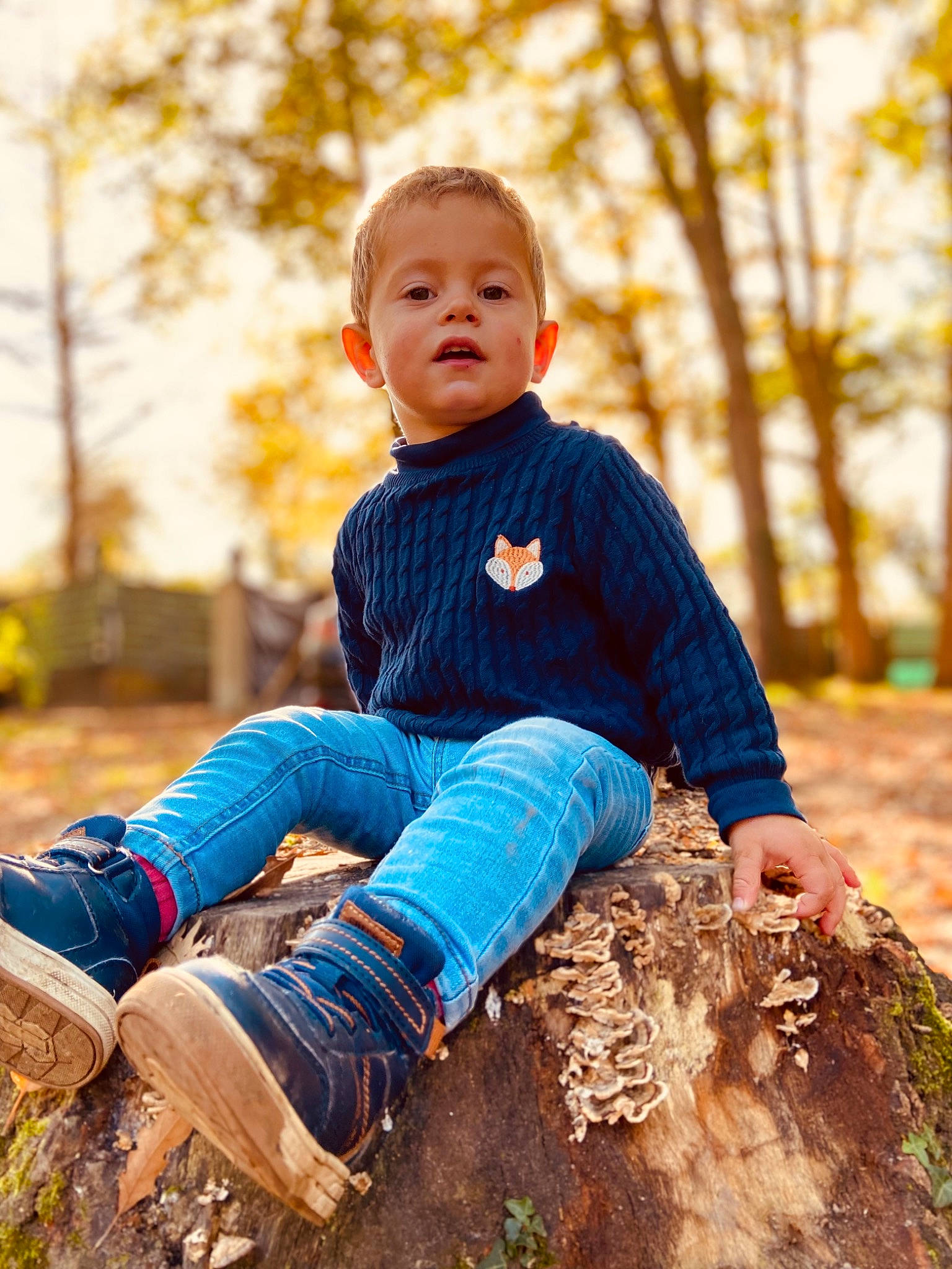 Nyno participe au concours pour gagner de l'argent avec cette photo : beauty, blond, electric_blue, face, fun, grass, hairstyle, happy, head, leaf, leisure, nature, orange, outerwear, people_in_nature, person, plant, toddler, tree, trunk