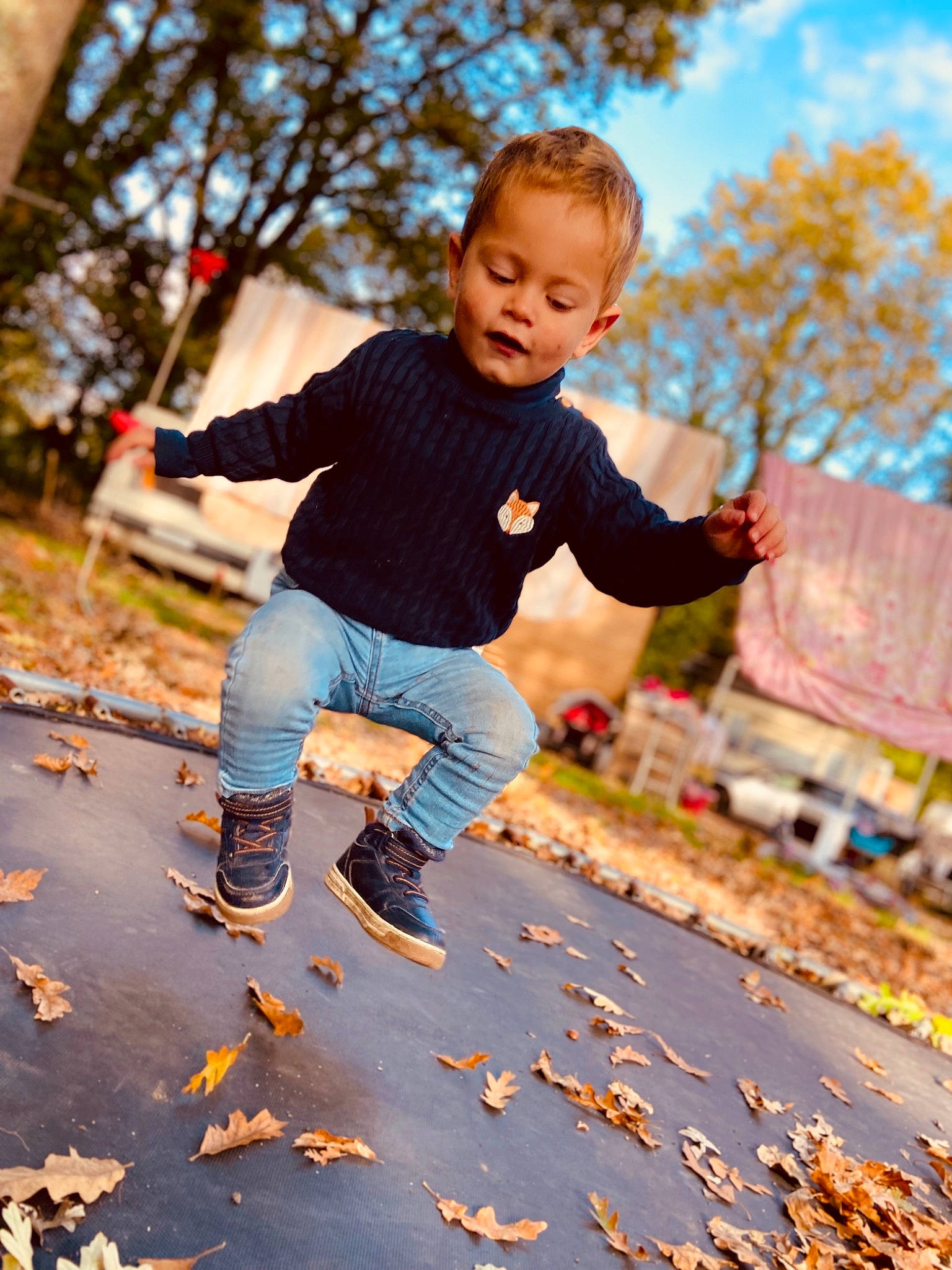 Nyno participe au concours pour gagner de l'argent avec cette photo : asphalt, branch, fun, gesture, grass, happy, leaf, leisure, morning, nature, orange, people_in_nature, person, plant, recreation, sky, standing, sunlight, toddler, tree