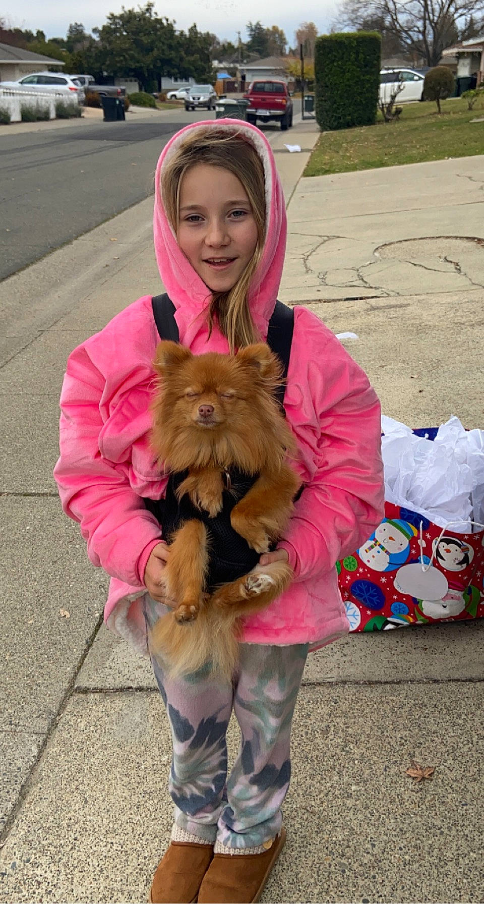 Ripley is registered to the contest to win money with this photo: blue, clothing, dog_breed, fun, grass, green, hairstyle, human, mammal, organism, people, product, recreation, road, shoe, sitting, street, transport, vertebrate, yellow