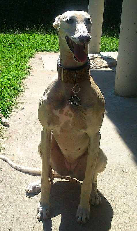 Etel participe au concours pour gagner de l'argent avec cette photo :