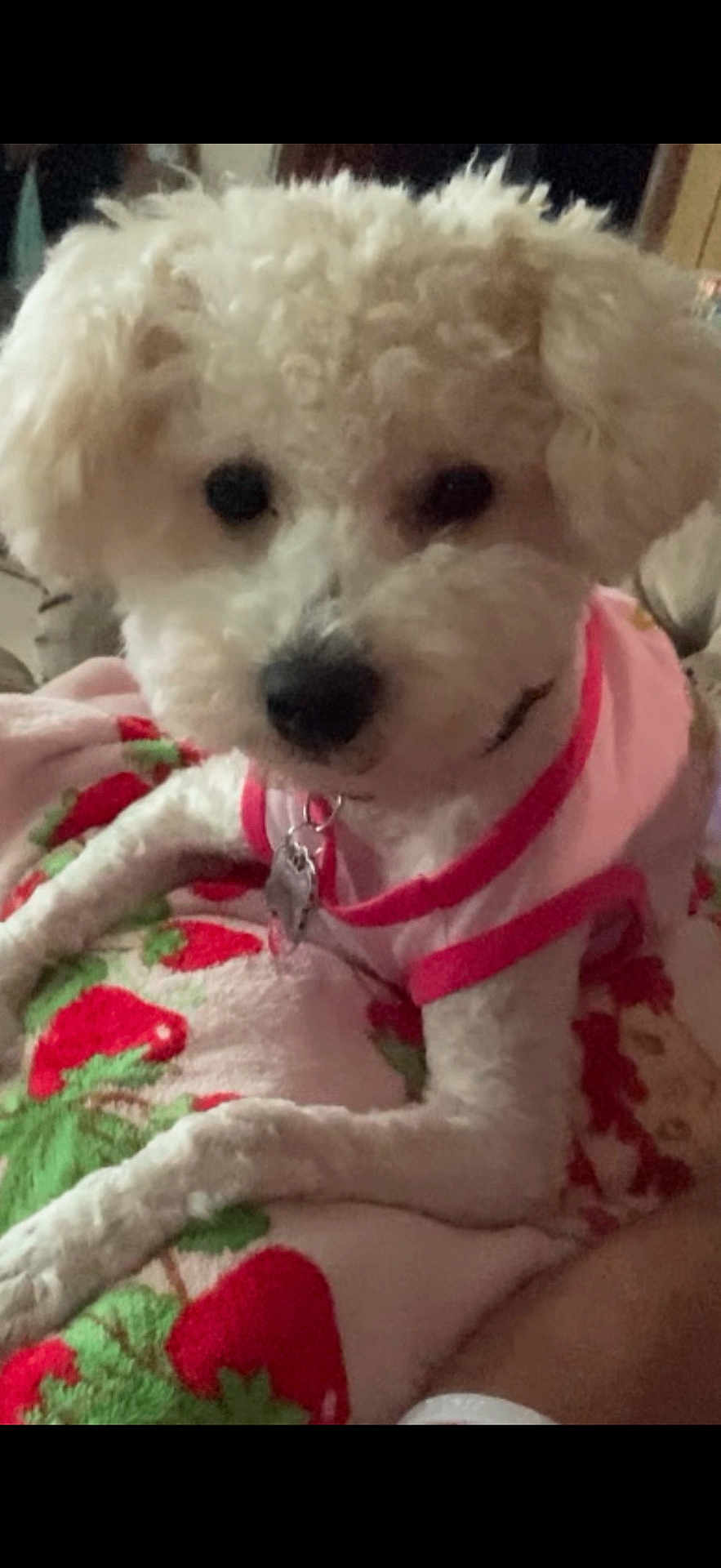 Daisy-May