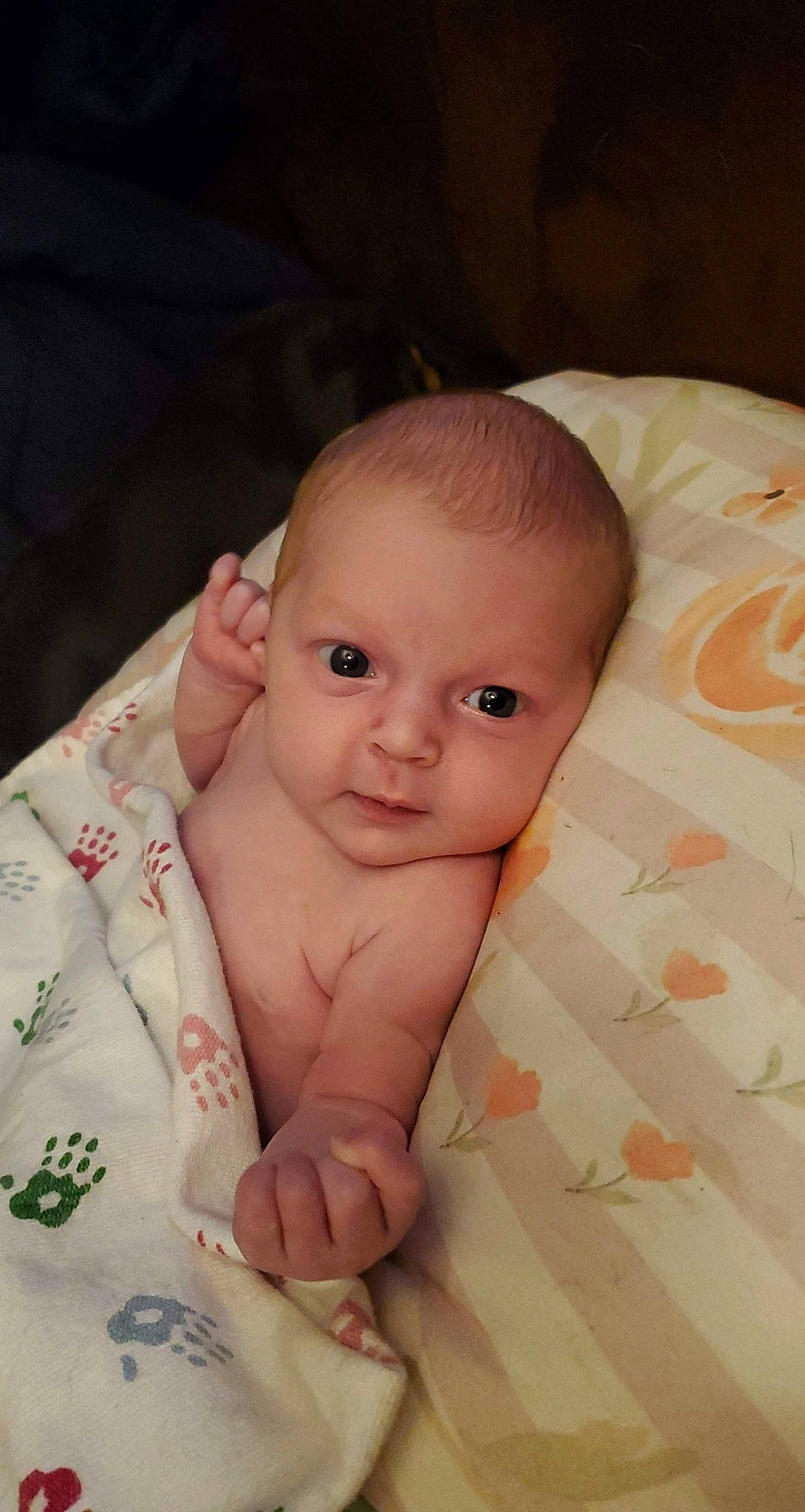 Lucie is registered to the contest to win money with this photo: baby, cheek, child, eye, face, forehead, head, iris, lip, mouth, muscle, nose, person, skin, toddler