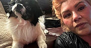 Frankie is registered to the contest to win money with this photo: black_and_white, companion, couch, dog, eyes, face, fluffy, happy, home, indoor, leather, nose, person, pet, portrait, selfie, small_dog, sofa, sunlight, whiskers