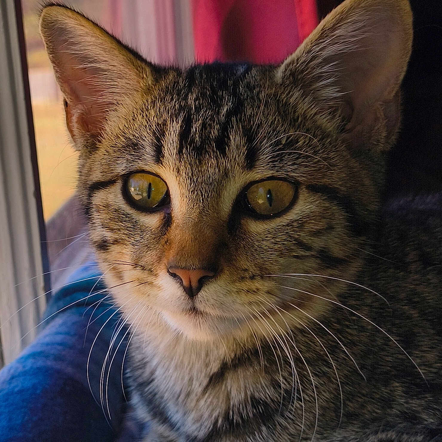 Amber
