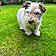 Titch
