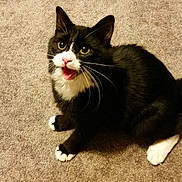 Tuukkalee is registered to the contest to win money with this photo: