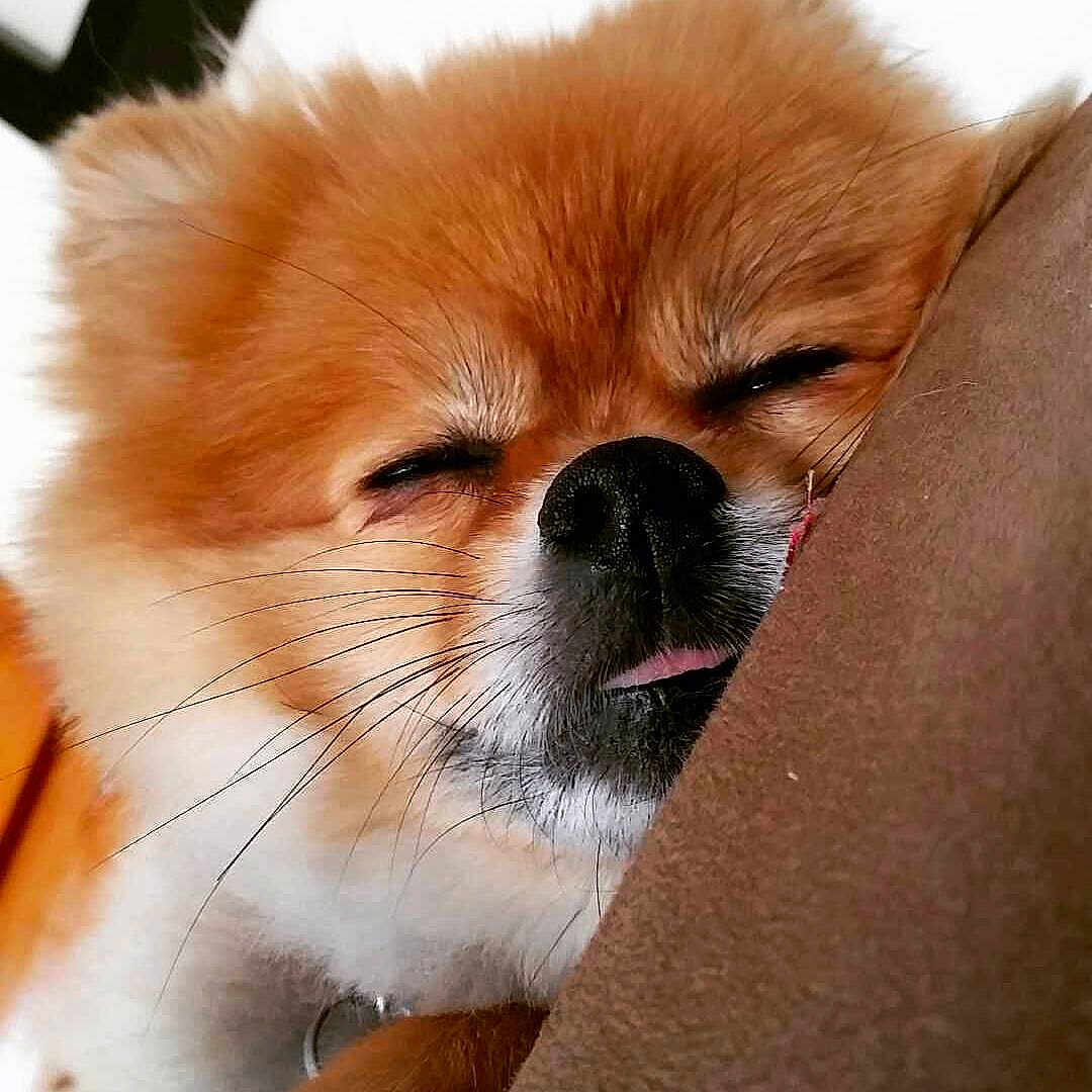 Kali May is registered to the contest to win money with this photo: