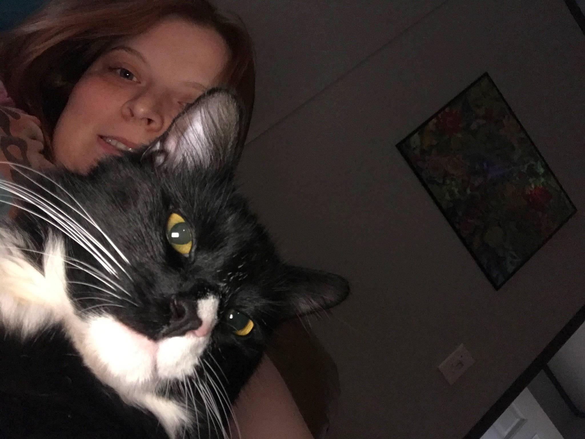 Billy is registered to the contest to win money with this photo: bangs, black_cat, carnivore, cat, claw, comfort, domestic_short_haired_cat, ear, felidae, flash_photography, formal_wear, fur, gesture, nose, sitting, small_to_medium_sized_cats, snout, tail, whiskers