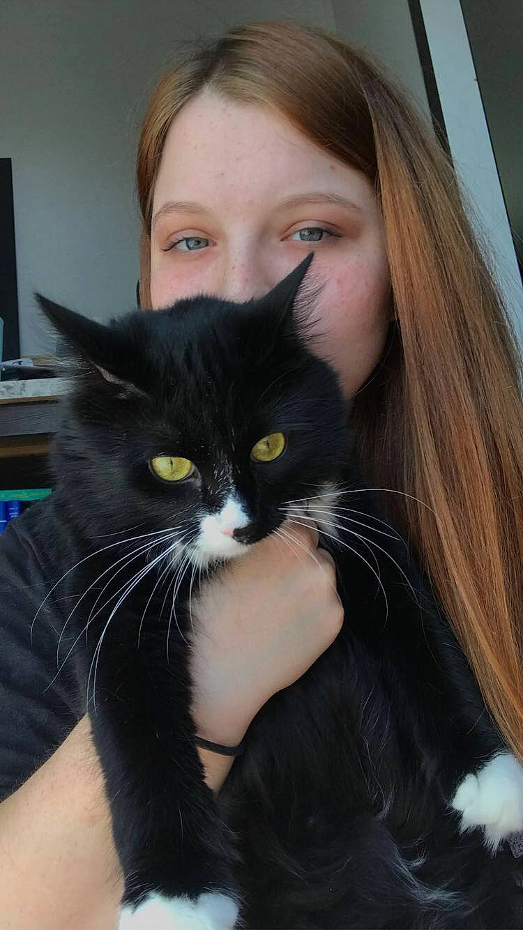 Billy joined the competition — help win amazing prizes! black_hair, carnivore, cat, comfort, domestic_short_haired_cat, ear, eye, eyelash, felidae, formal_wear, fur, gesture, hair, head, iris, neck, organ, small_to_medium_sized_cats, snout, whiskers