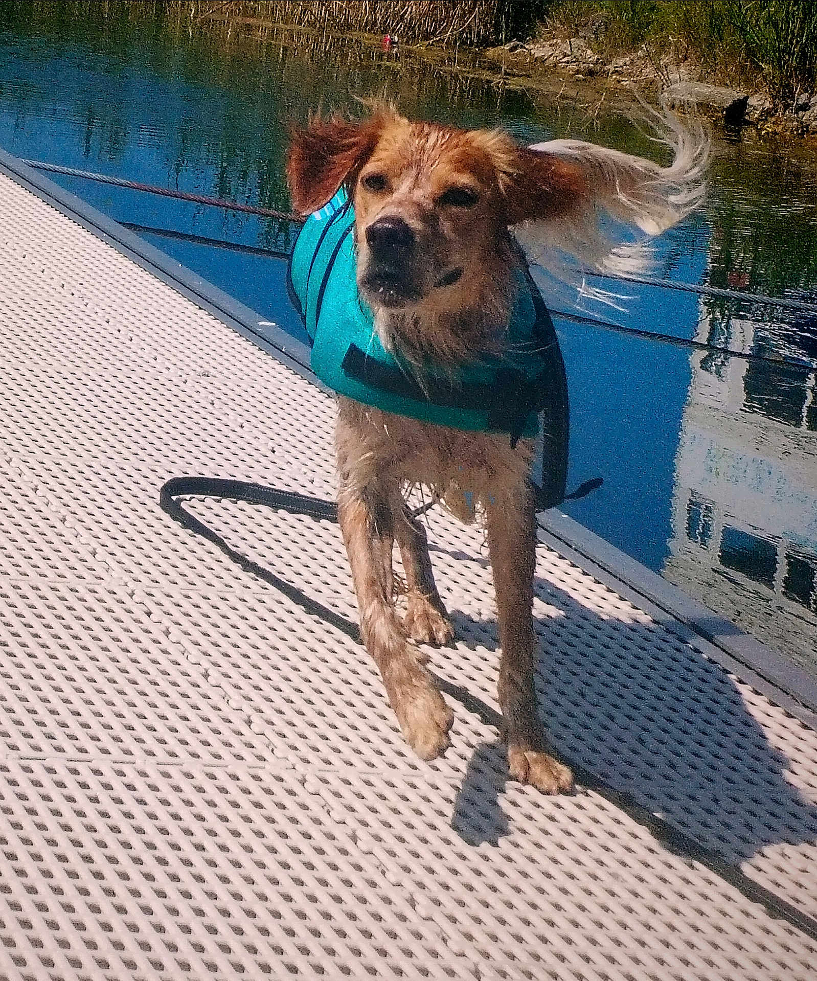 Marley
